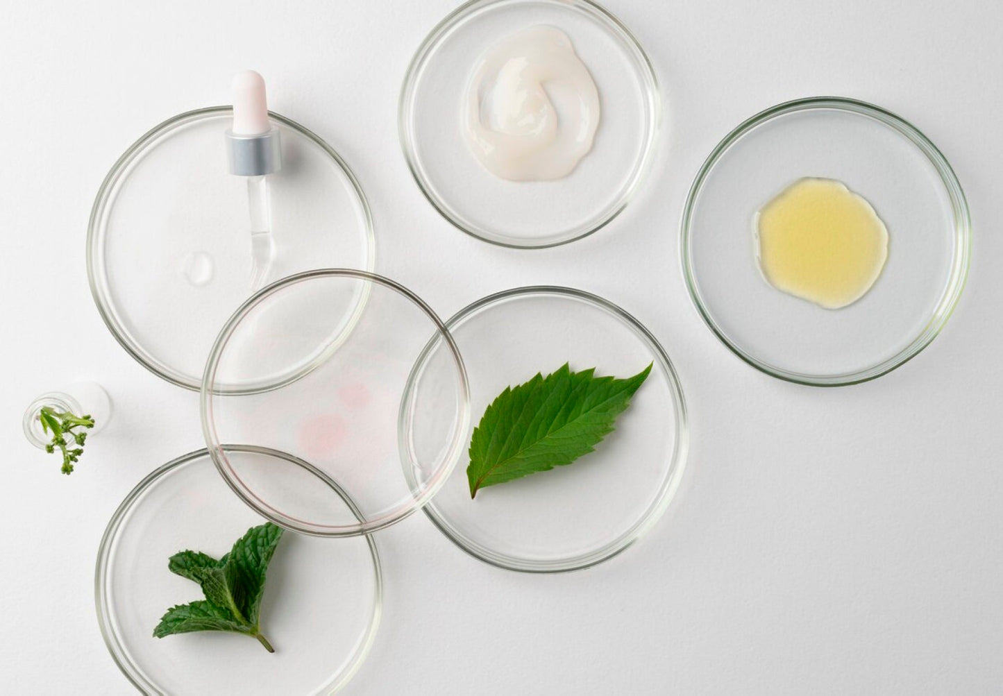 Ingredienti Naturali: Benefici, Usi e Proprietà per Pelle e Benessere